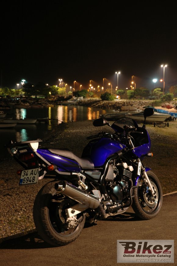 2003 Yamaha FZS 600 Fazer photo